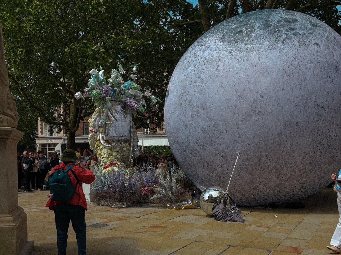 OUT OF THIS WORLD (AND INTO OUR STREET) - THE CHELSEA FLOWER SHOW 2026